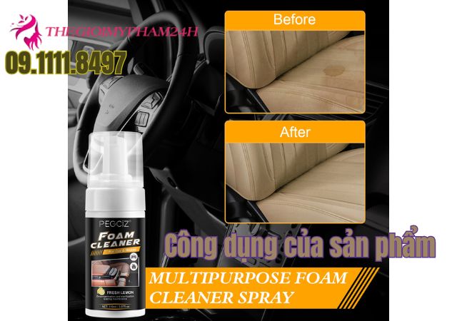 Pegciz-Foam-Cleaner-3