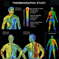 Aliver ABS Muscle Stimulator 2