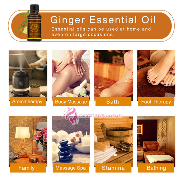 Aliver Ginger Essential Oil ai nên dùng