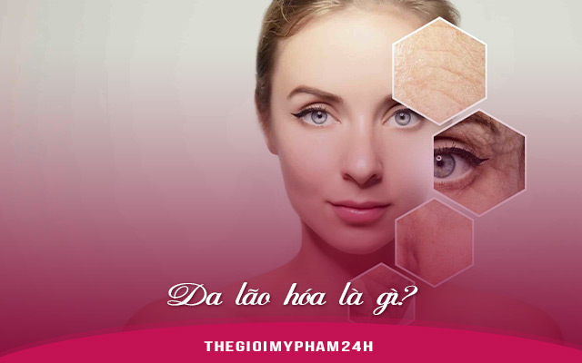 Da lão hóa là gì?