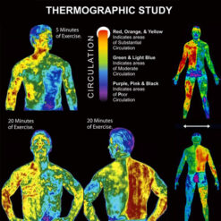 Sweat and Fat Burning Cream 10