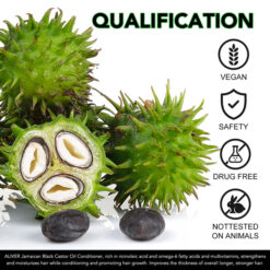 Jamaican Black Castor Conditioner 7