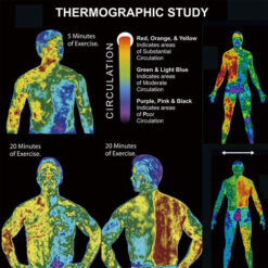 Sefudun ABS Muscle Stimulator 3