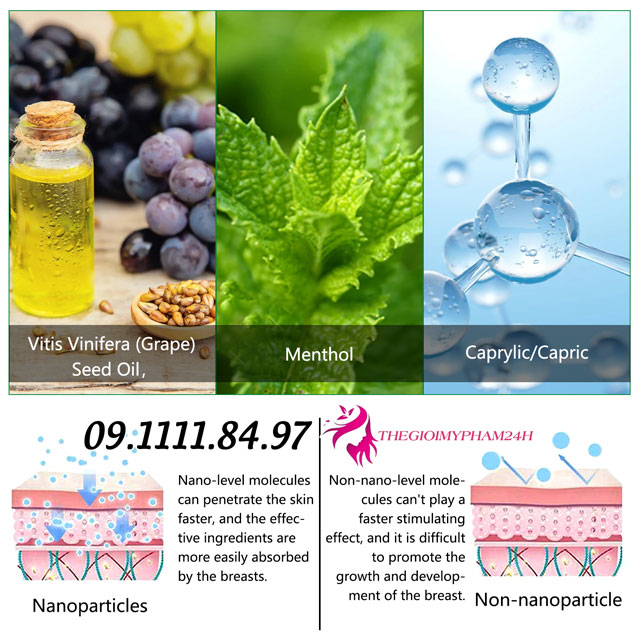 Thành phần Sefudun Breast Enhancement Essential Oil