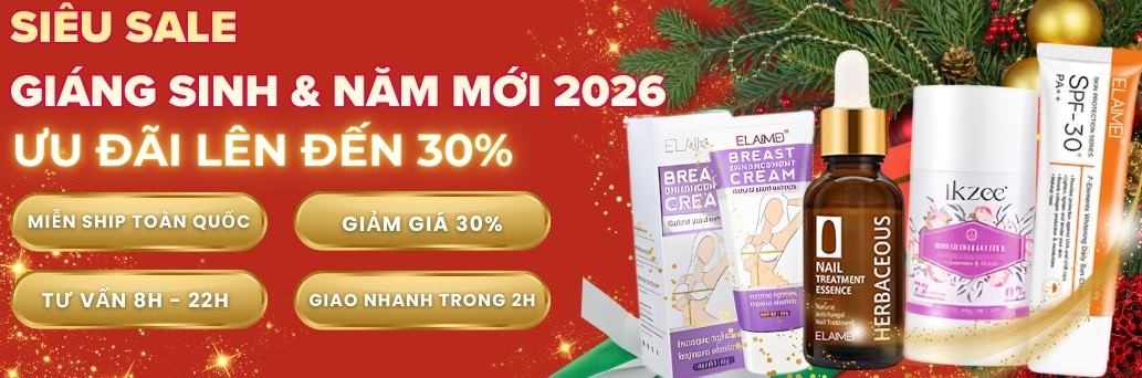 banner giáng sinh + tết 2026