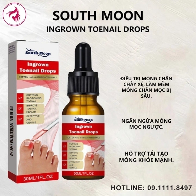 Phân tích 5 Cơ chế tác động cốt lõi