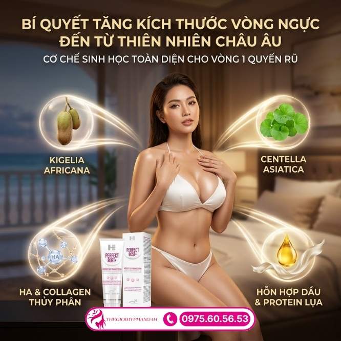 Thành phần trong gel Perfect Bust+ 150ml có gì?